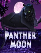 เล่นง่ายไม่ซับซ้อน joker แอ พ มือ ถือ สำหรับมือใหม่